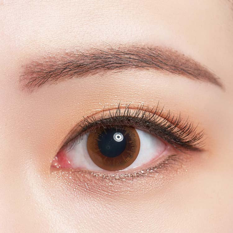 바슈롬 레이셀 크리스탈 브라운 30p