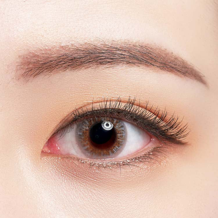 바슈롬 레이셀 디어 브라운 30p