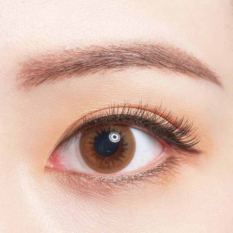 바슈롬 레이셀 멜로우 브라운 30p