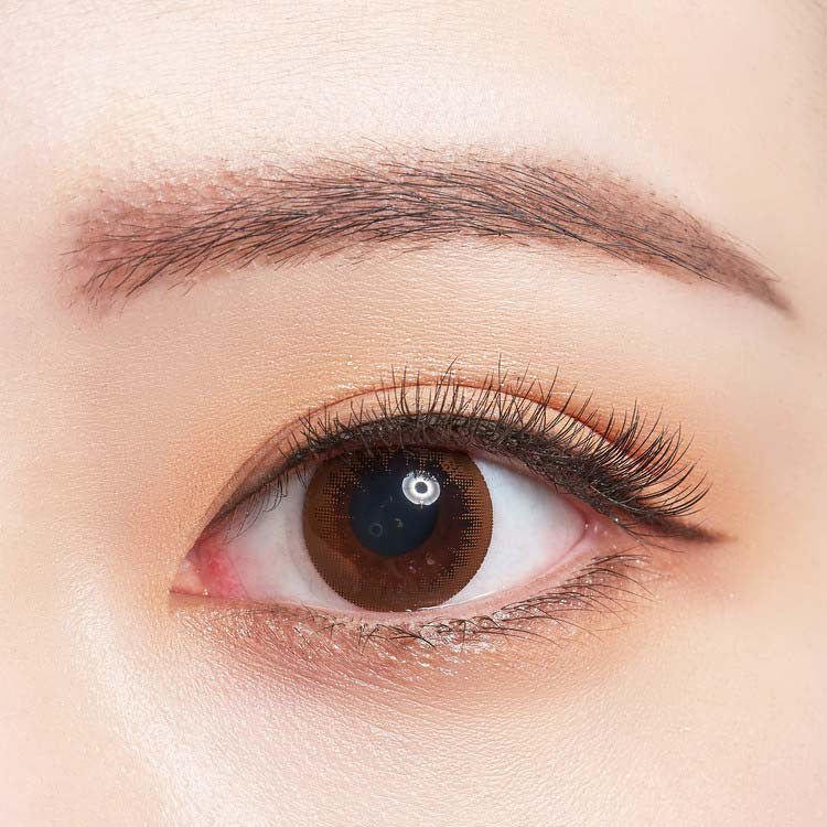 바슈롬 레이셀 트윙클 브라운 30p