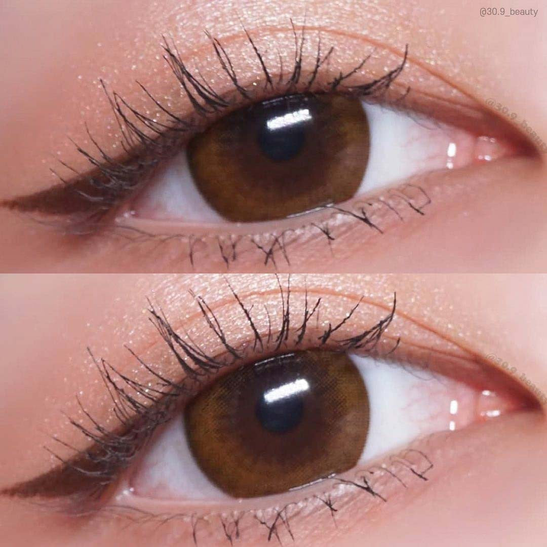 스너그 브라운 2p 1+1